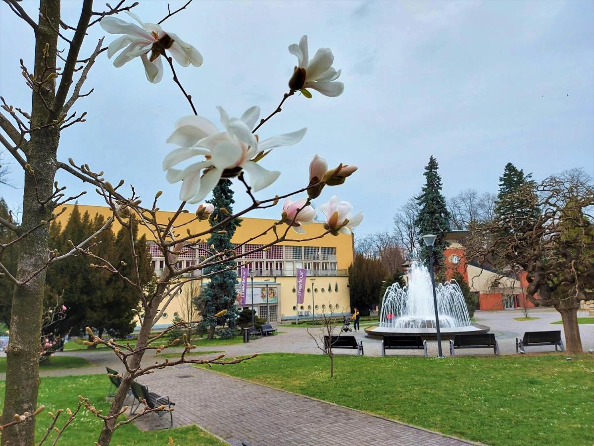 Apartman Modena Lux Vrnjačka Banja Esterno foto